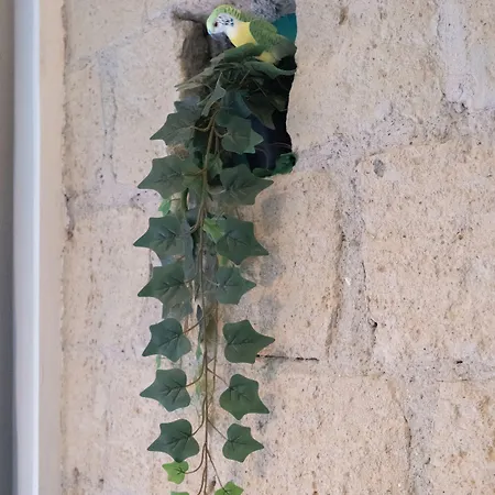 Πανσιόν La Casa Di Luale E Zoe Νάπολη